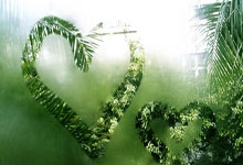 昂热客场逼平兰斯,保持连胜不败