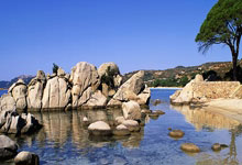 巴萨主场再胜,强赛场等你一战